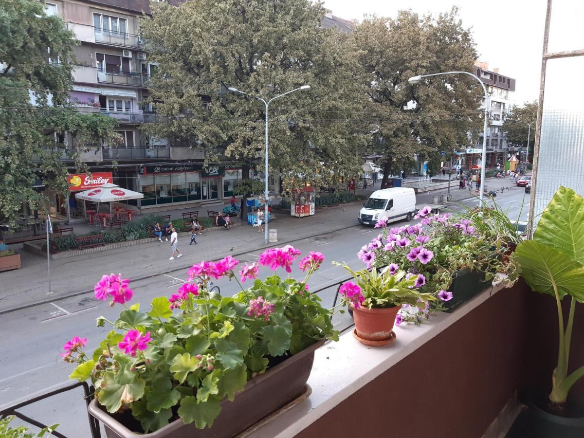 Apartmán Apartman Nada Požarevac Exteriér fotografie